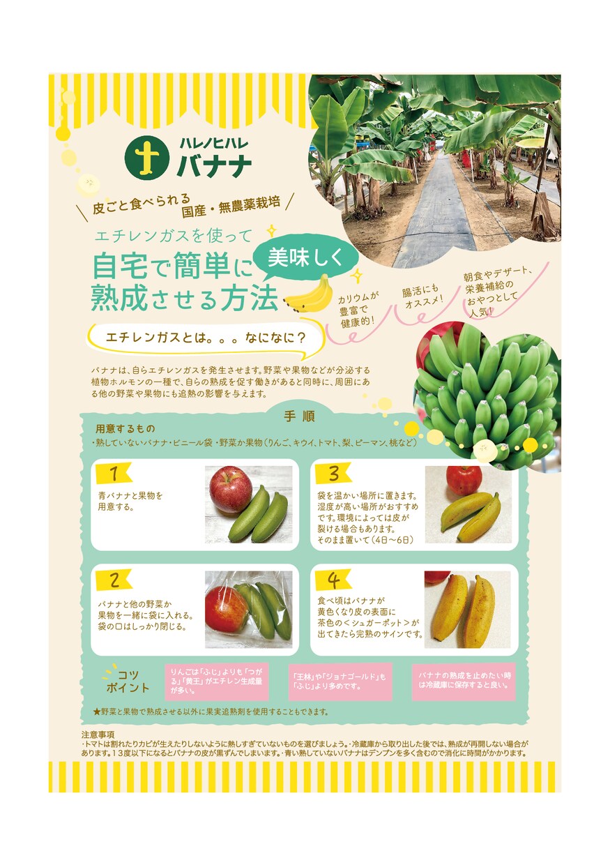 女性目線の読みやすいチラシ制作します 女性目線のおしゃれで、読みやすいチラシ制作します。 イメージ5