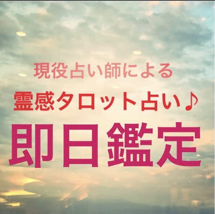 霊感タロット占い＊あなた様に寄り添います 鑑定歴２年の現役占い師が丁寧に占います イメージ1