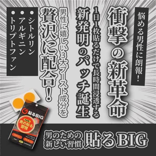 ポチッと押したくなる！WEB画像制作いたします 【ヘッダー・バナー】【SNS画像】【サムネイル】 イメージ6