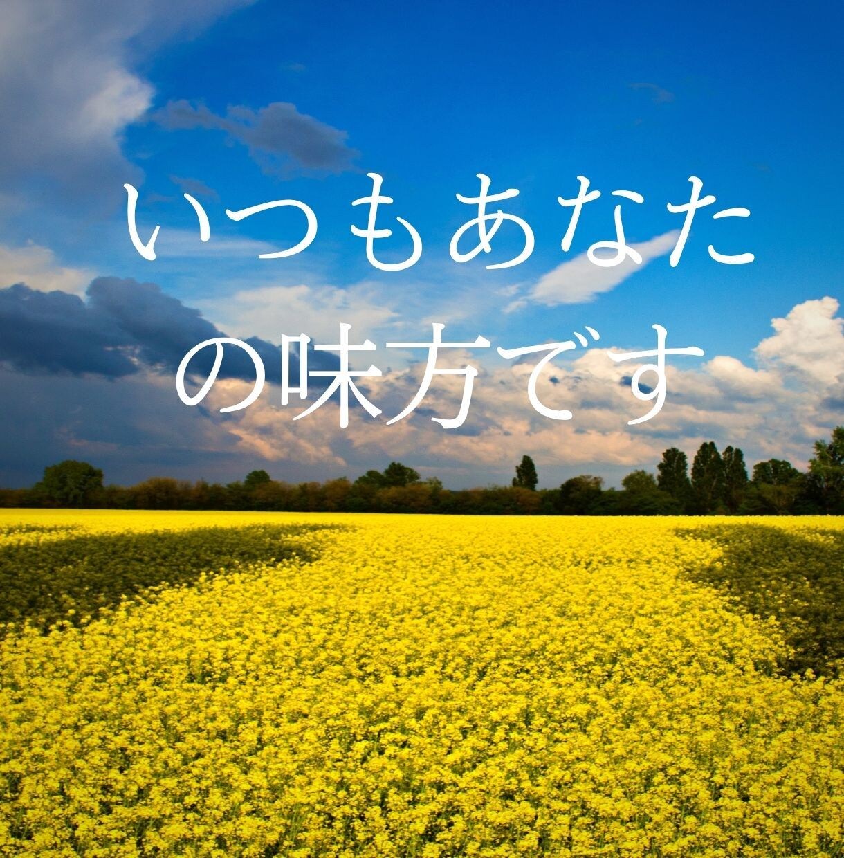 離婚した方がいいのかな？あなたの気持ち全部聞きます 離婚はパワーがいります！どんな事でも話してみて！ イメージ4
