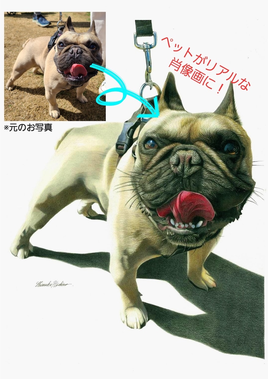 色鉛筆で、リアルなペットの絵をお描きします 大切なペットを絵にして、ご自宅にプレゼントにいかがですか? イメージ2