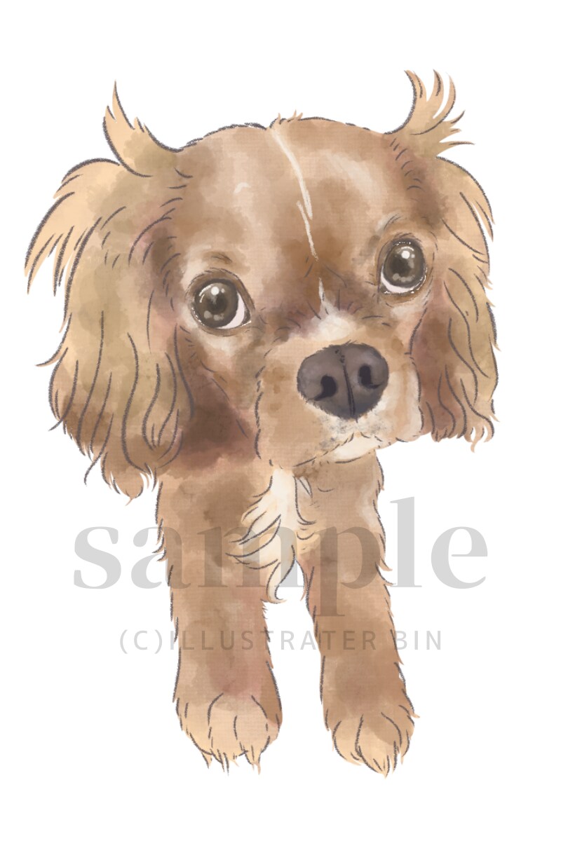 やさしいタッチでペットのイラスト描きます 犬猫小動物、爬虫類、なんでも描きます！ イメージ9