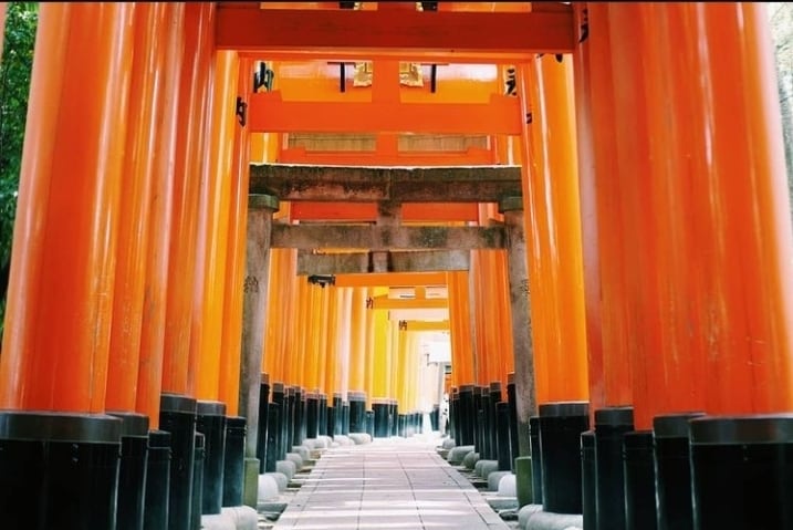 あなたの代わりに京都旅行の写真を撮ります 写真で京都を旅行しませんか？？ イメージ2
