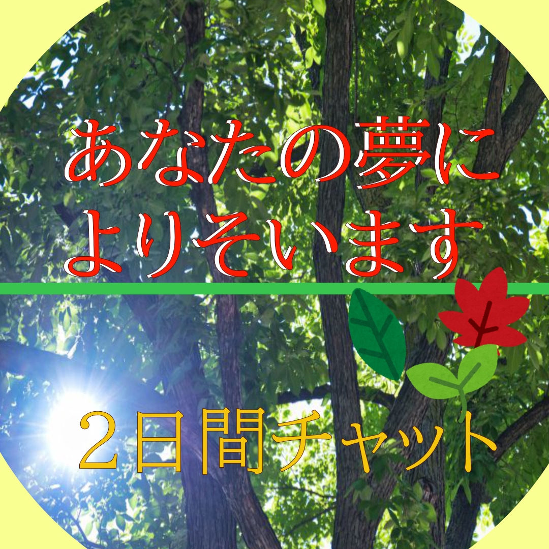 単発２日チャット/あなたの叶えたいを応援します 人生/恋愛/仕事/夢/引き寄せ難民/目標達成/その他何でも イメージ1