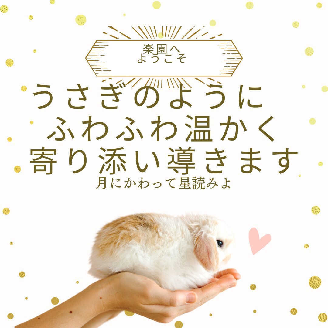 自分の魅力全開で生きる『楽園』へお連れします 優しく温かく自分を愛し他人を尊重する心地よい楽園にようこそ イメージ3