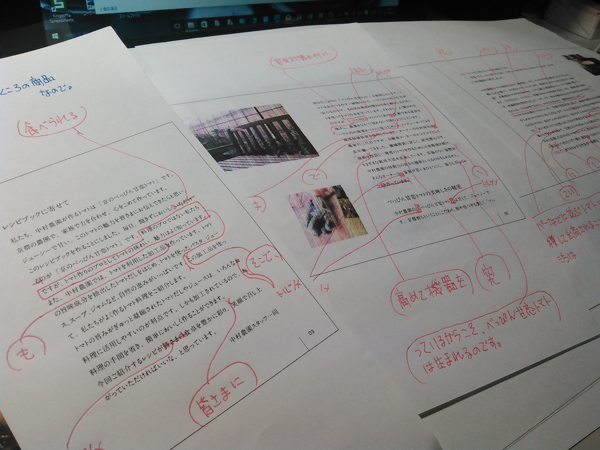1万字以上専用／編集長が読みやすい文章にします 【1万字以上専用】編集長の編集で小説や記事などを読みやすく！ イメージ1