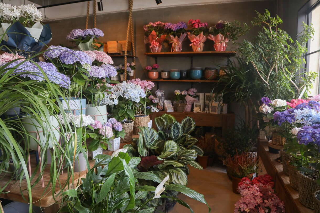花屋・カフェの開業アドバイスします ヨーロッパで学び×18年現場経験｜憧れのお店をカタチにします イメージ3
