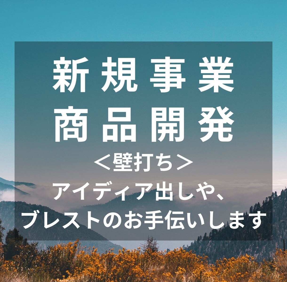 まずはカタチに!新規事業/商品開発を支援します アイデア出しや、ブレストで頭の中の整理をお手伝い(壁打ち) イメージ1