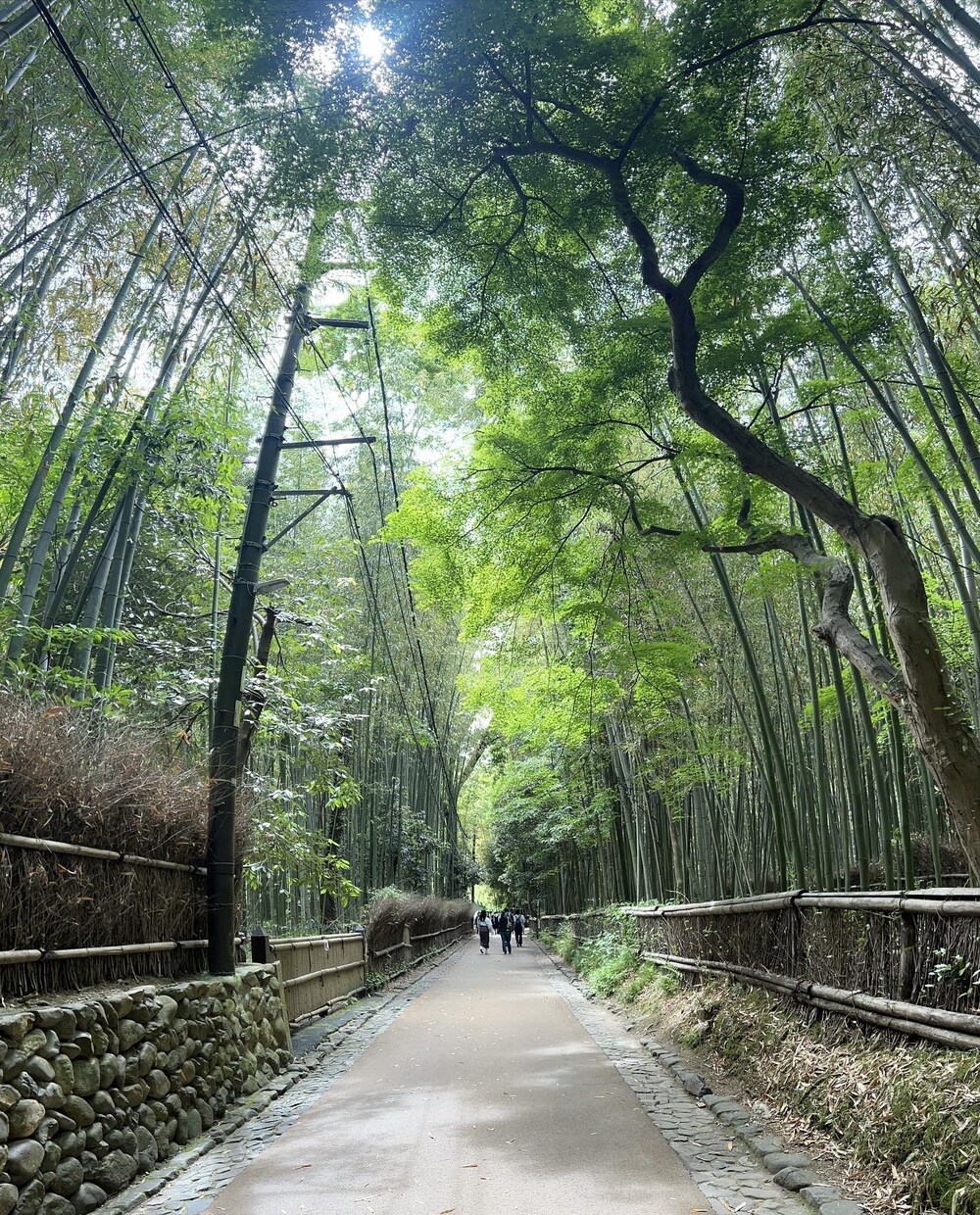 とても綺麗な風景の写真をお届けしますます 綺麗！可愛い！すてき！行った気になる！ イメージ3