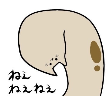 ゆるかわ動物のLINEスタンプ作成します ゆるかわ動物やお客様ご希望のキャラクターを作成致します！ イメージ8