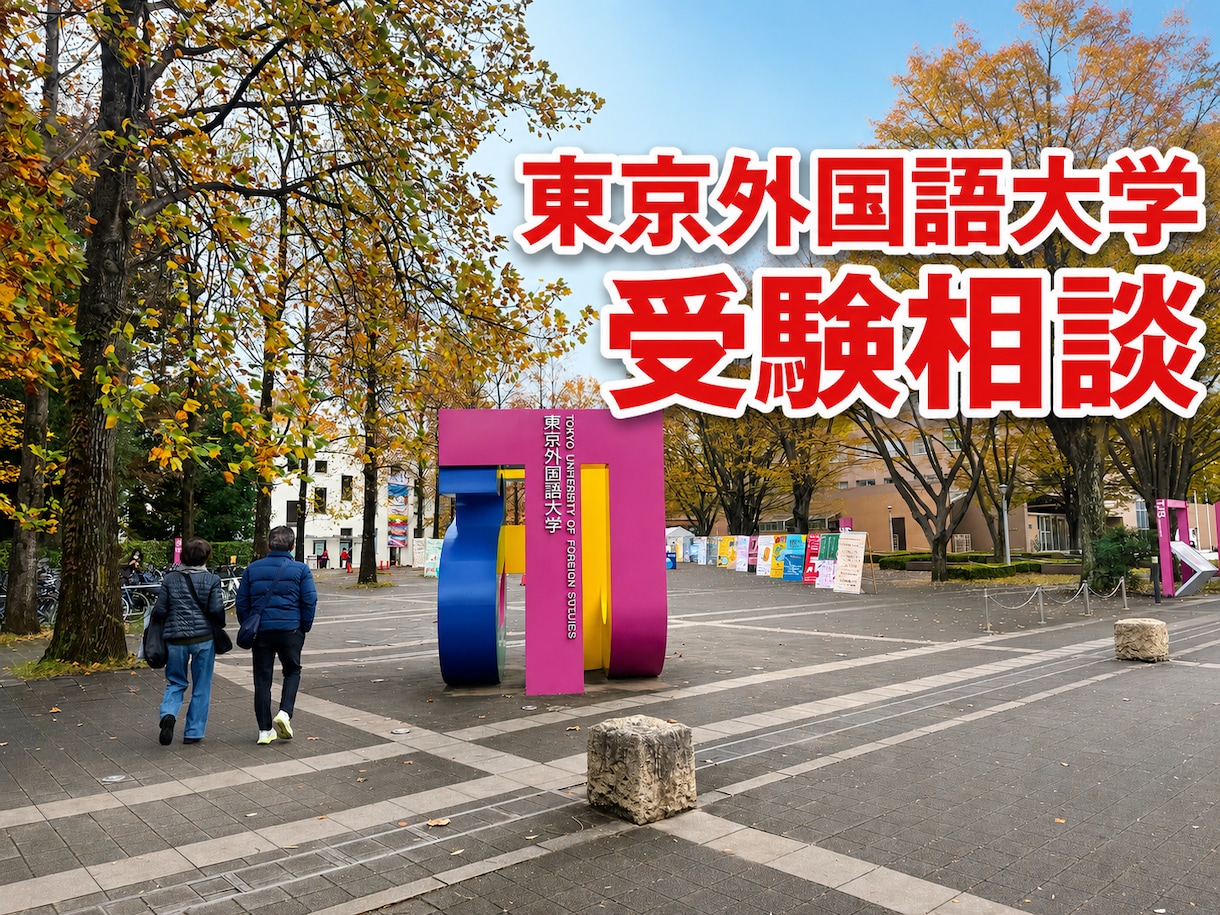 東京外国語大学を目指す方の受験相談に乗ります 浪人経験・短期での世界史対策をもとに受験対策の悩みに答えます イメージ1