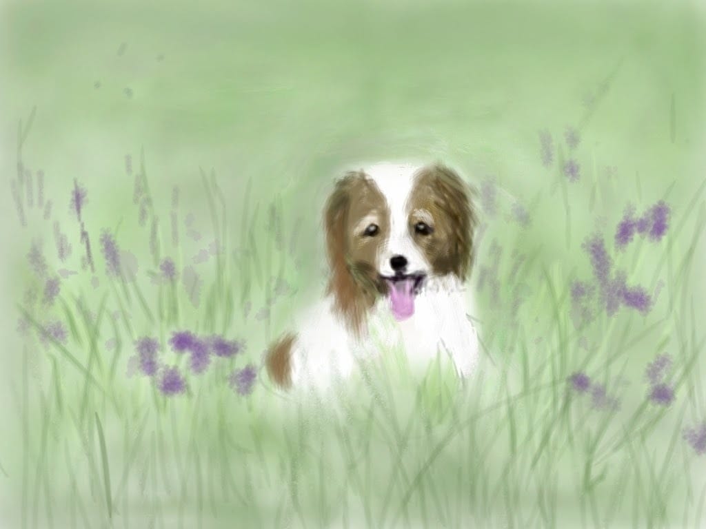 ペットや動物の絵を描きます お気に入りの写真をイラストにします。サイズ  A4 イメージ5