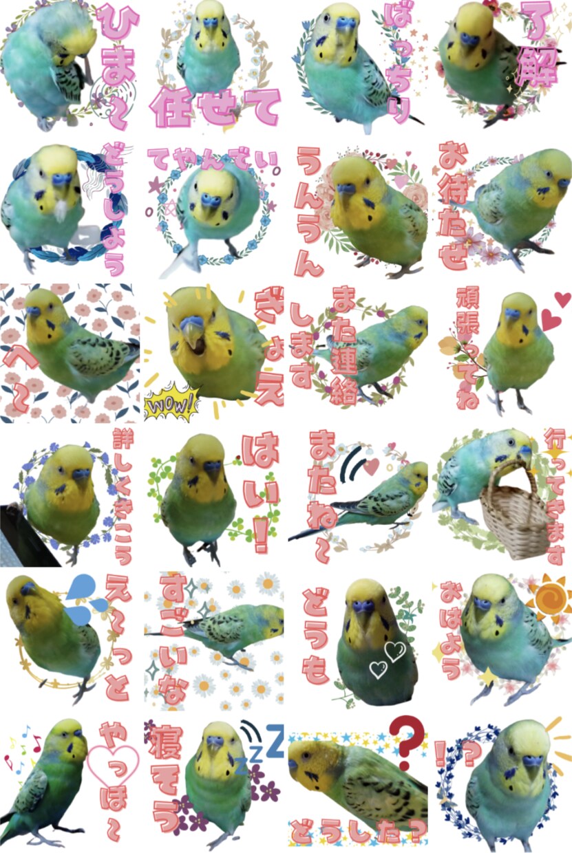 ペットの写真をかわいいラインスタンプにします ペットのオリジナルラインスタンプを低価格でお作りします イメージ2
