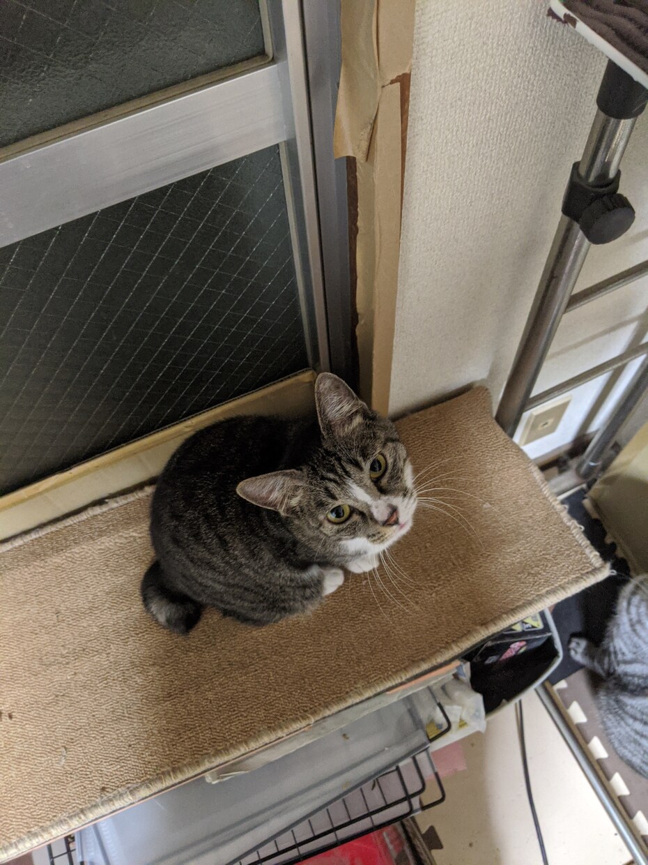 どうにもならないあなたの気持ちお聴きします あなたは自分の気持ちを拒んでいませんか？ イメージ6