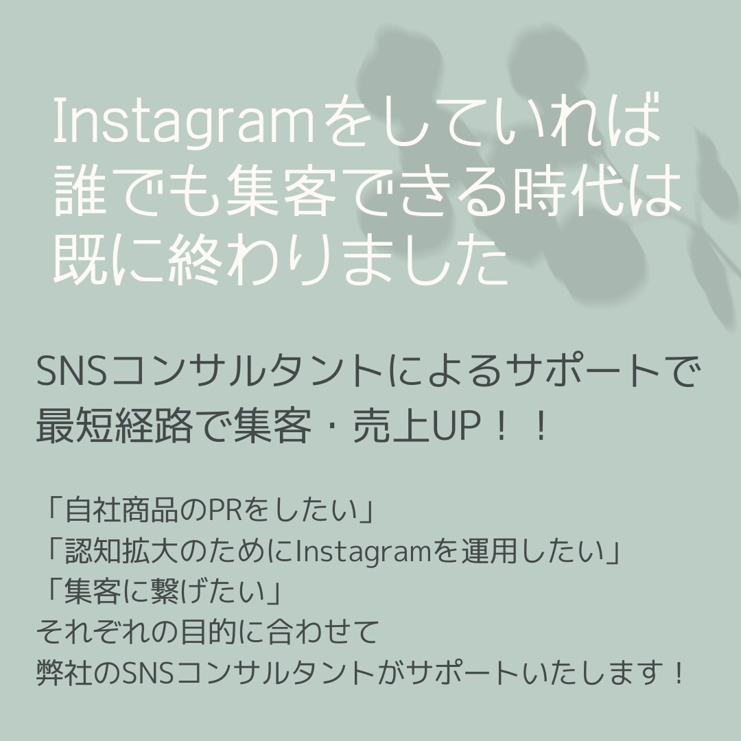 Instagramのプロが教えます 売上・集客に繋がるアカウント運用のポイント！ イメージ3
