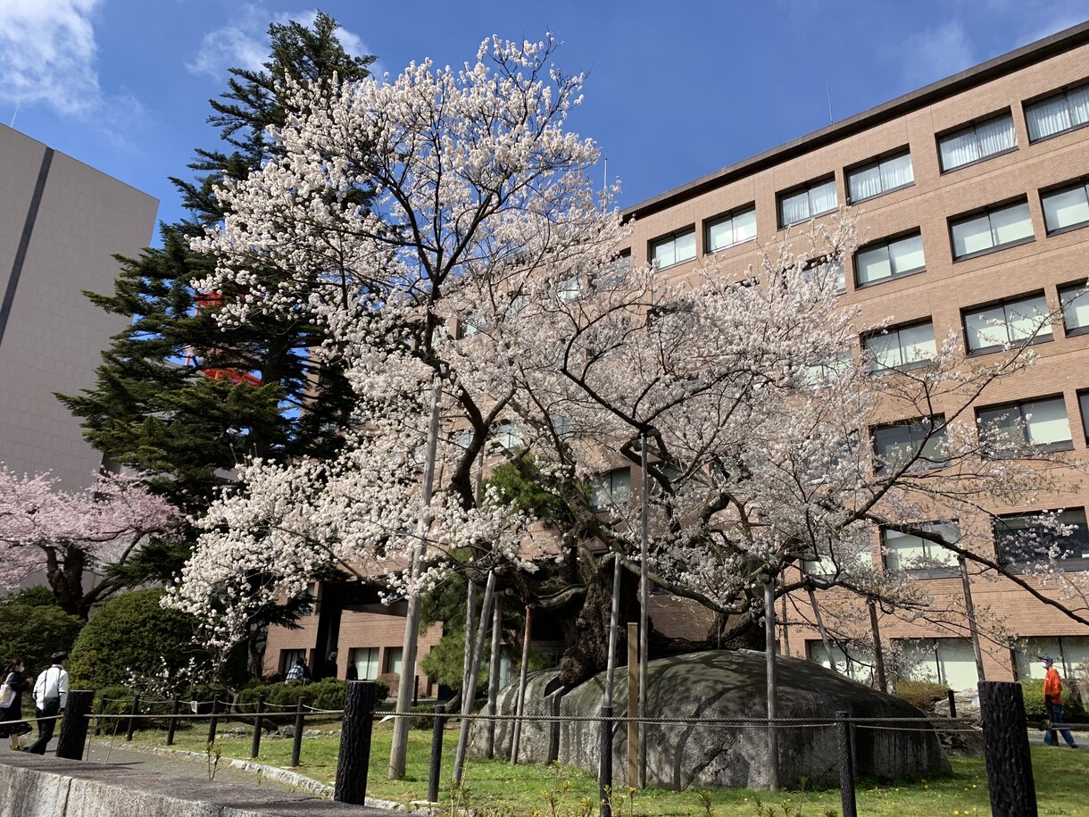 北東北(青森･岩手･秋田)プレミアプラン提案します 【元旅行会社勤務】営業マンがオーダーメイドで提案します イメージ3