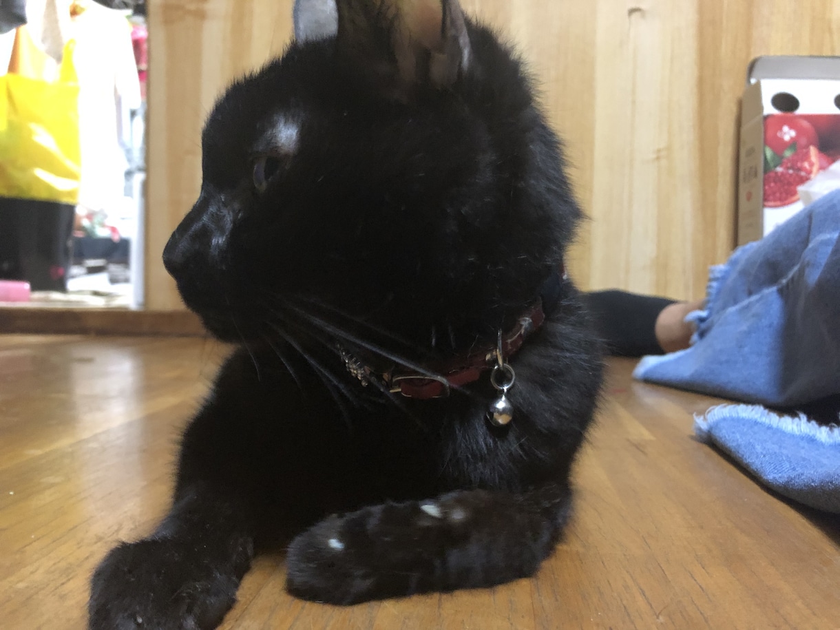 お話し相手します 話し相手1児のママどんなお話でも聞きます イメージ1