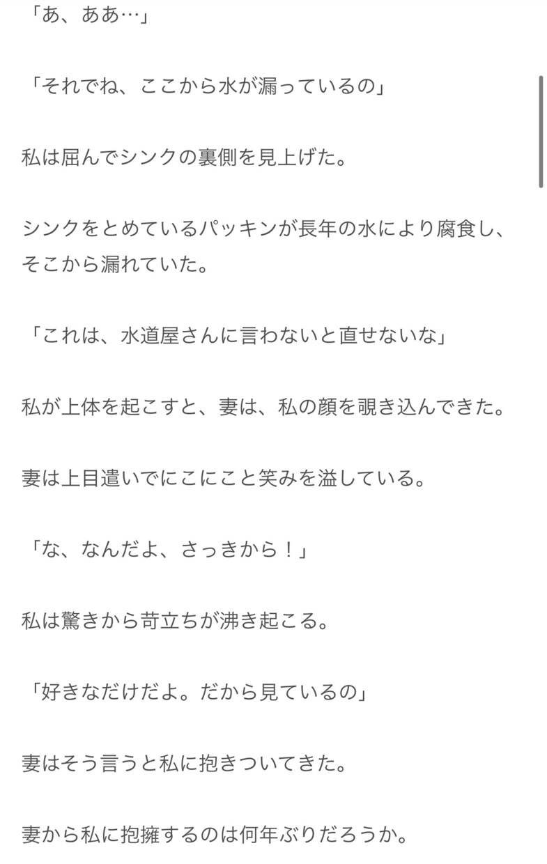 1000文字1,000円@オリジナル物語を書きます ヒアリングを基にあなたの好みを分析した、あなただけの物語。 イメージ8