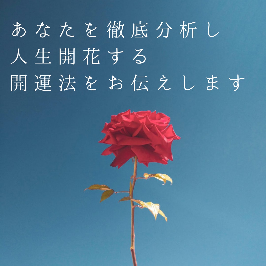 今のあなたのことを徹底分析、開運法をお伝えします 自分の人生を諦めない、解放が叶う人生開花統計学 イメージ1