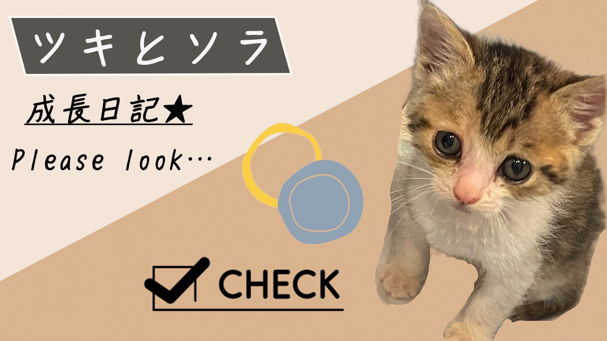 YouTube動画のサムネイル作成致します 最短1日納品♪おしゃれなサムネイル作成します♪ イメージ5
