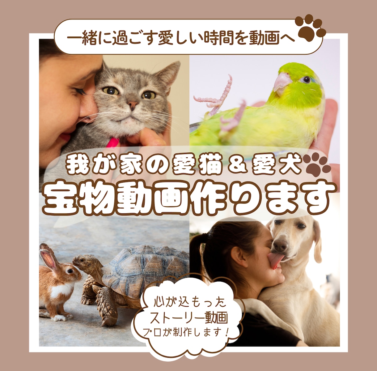 愛犬、愛猫との思い出を一生の宝物になる動画作ります 一緒に過ごす愛しい時間を愛の詰まった動画で永遠に残します イメージ1