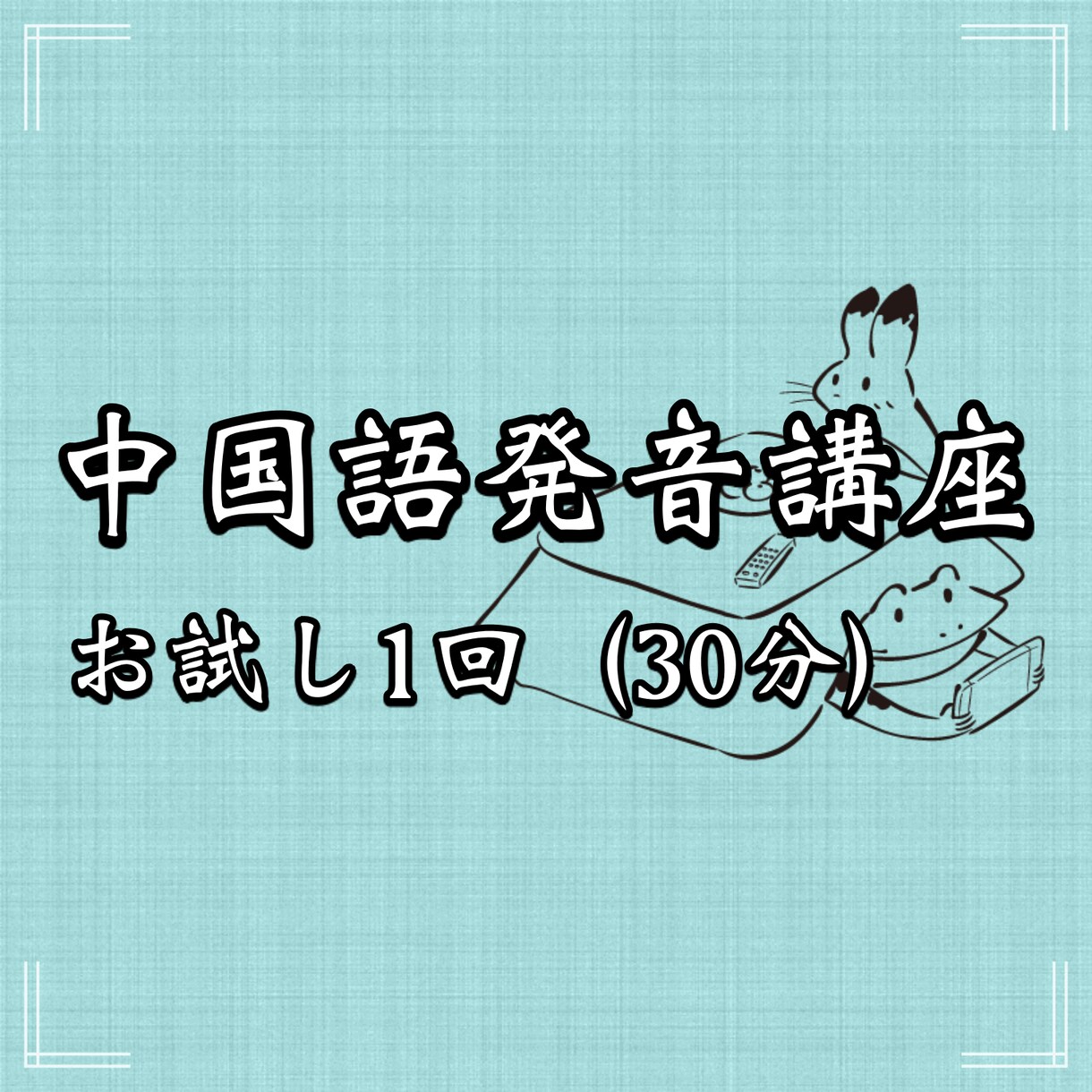 中国語の発音（お試し1回）を指導します 中国語マンツーマン発音講座（お試し1回プラン/30分） イメージ1