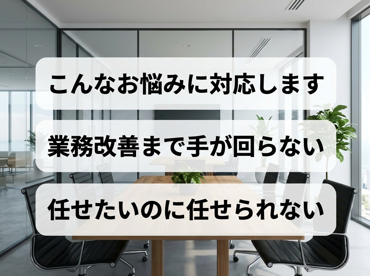 忙しい経営者向けに業務を整理し改善案を提案します 何から効率化すべきか分からない状態の整理をサポート！ イメージ2