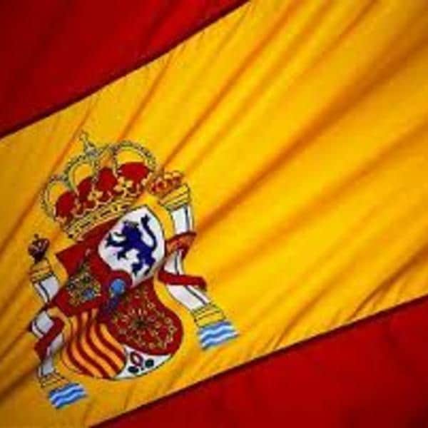 ネイティブスペイン人と準ネイティブ日本人が翻訳チェックします! イメージ1