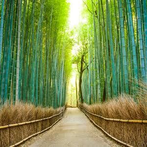 精神科看護師が精神科についての相談にのります ⭐️精神看護師8年目！否定せずいつでもあたなの味方です！✨ イメージ5