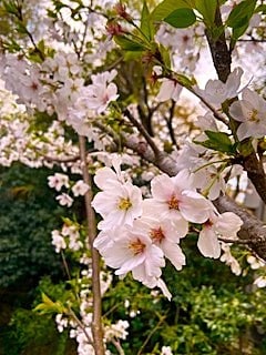 外観でわからぬ不調や働けない焦り…その声を聴きます 心に優しく寄り添います。自身のペースでゆっくりお話しください イメージ1