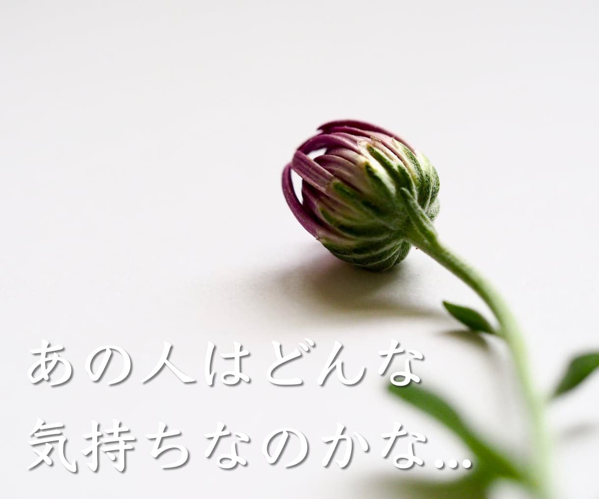 心癒し明るい未来に導く✴️透視・タロット鑑定します 恋愛・仕事・人生全般－読みやすい約1000文字のテキスト鑑定 イメージ7