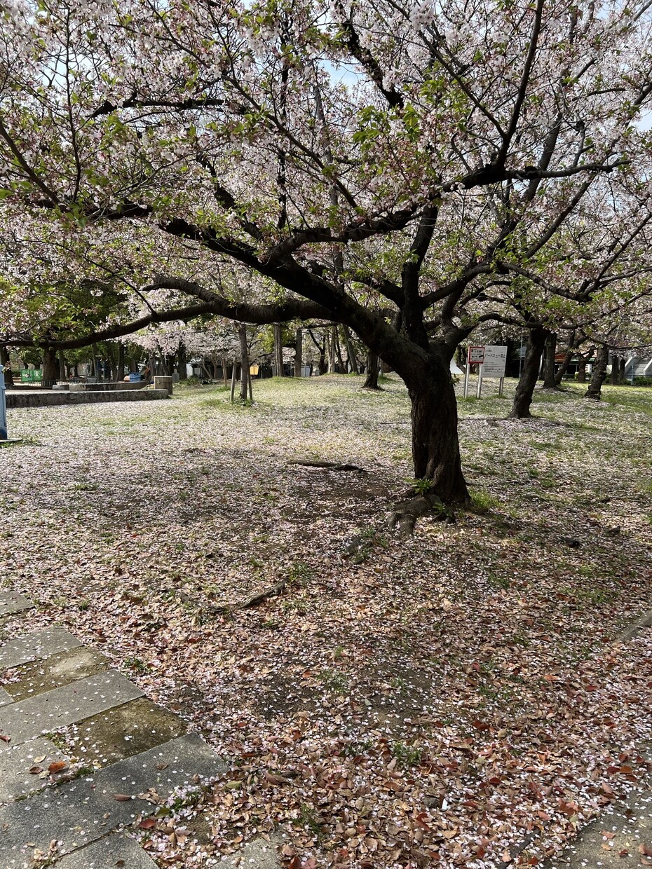 電話一本で繋がる温かい場所✨心に寄り添います 心の友、心友になりませんか？ほっと一息なごみじかん☕ イメージ10
