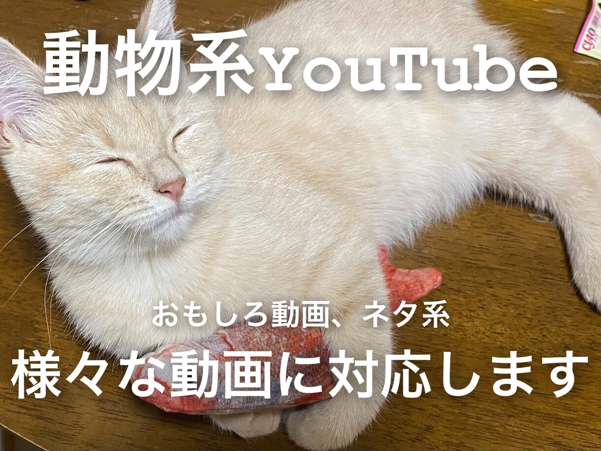 最安値3000円で動画編集します 結婚式、ネタ動画、YouTube、様々な動画を低価格で！ イメージ8