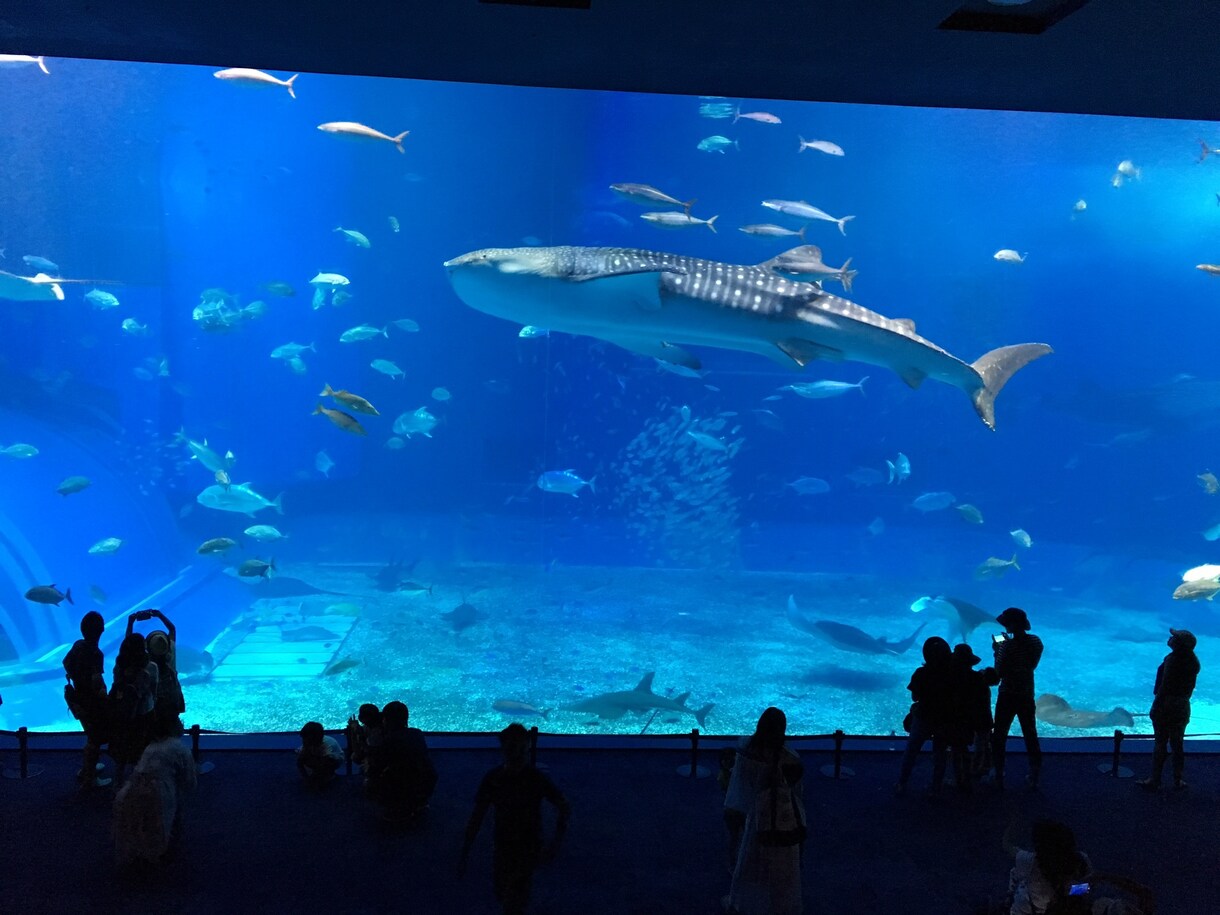 寂しい時、誰かと話したい時にお話聞きます ☆恋愛、家族やお金の悩みなど、ただ誰かに聞いてもらいたい時に イメージ1