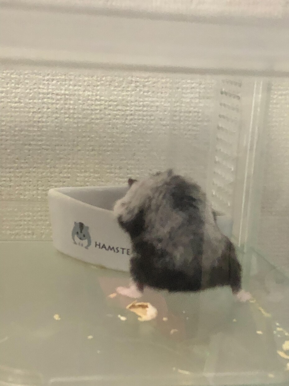 何でも聞きます 難しいこと考えないでとりま話しましょ♪ イメージ1