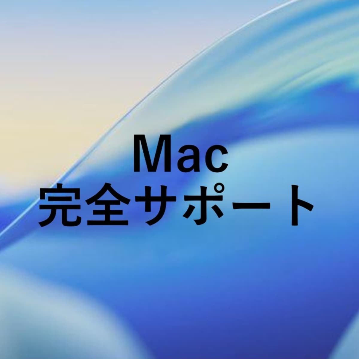 Macを完全にサポートします 初めてのパソコンの方などにおすすめです！ イメージ1