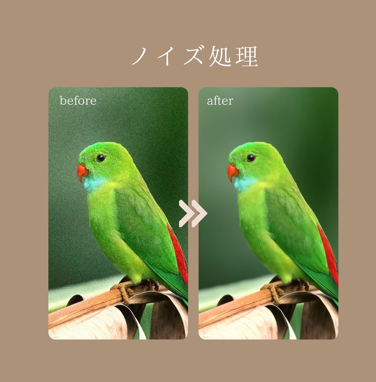 写真のノイズ処理、高画質化処理をいたします 限界を超える美しさ。ノイズ除去と高画質化で最高のクオリティ。 イメージ1