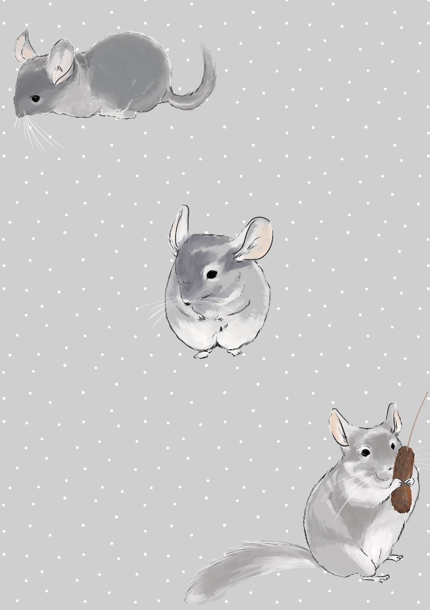 イラスト、似顔絵、描きます 御依頼主様の大切な家族を心を込めて描かせて頂きます。 イメージ4