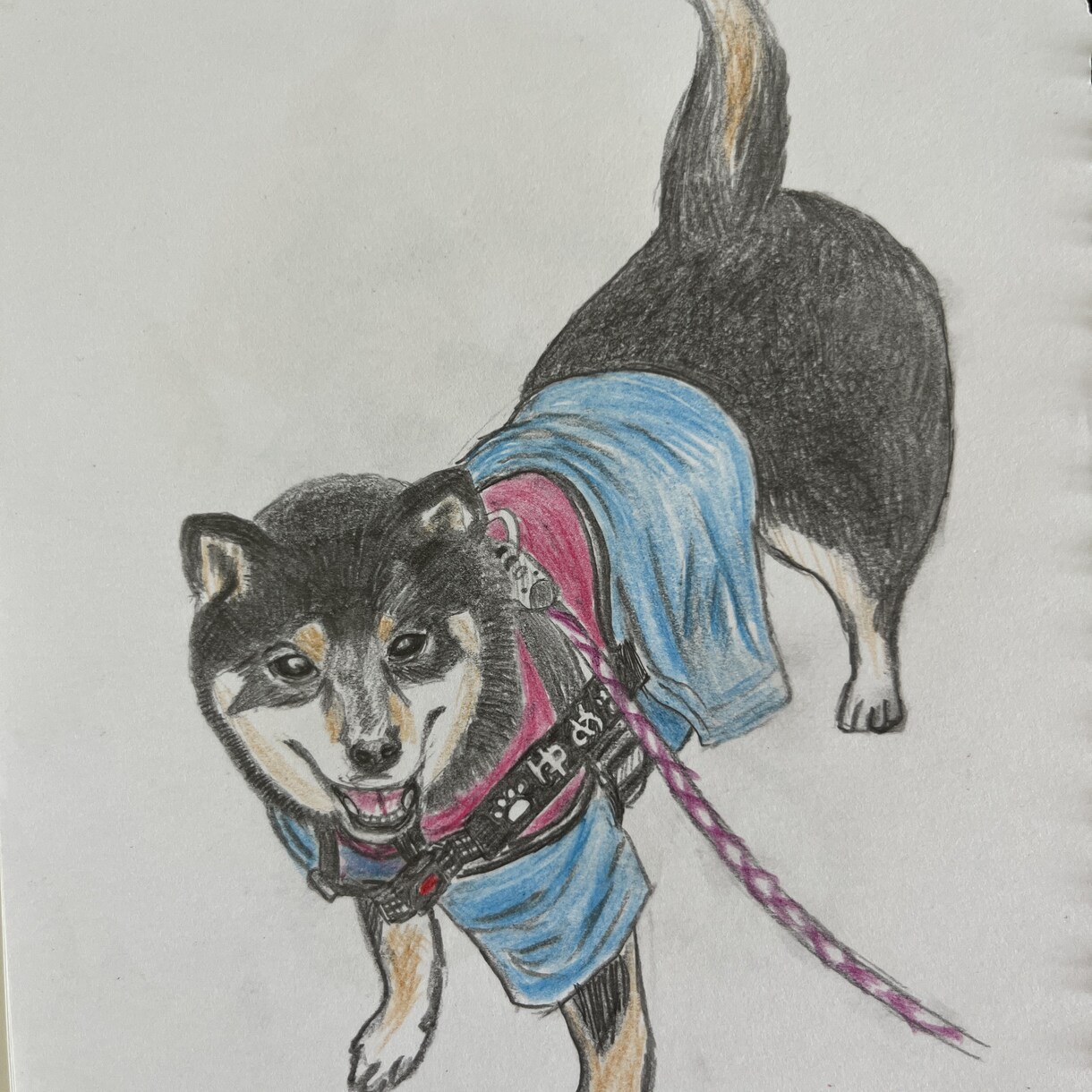 手描きで優しいペット似顔絵をお描きします 写真をもとに、やさしい雰囲気の似顔絵を描きます イメージ5