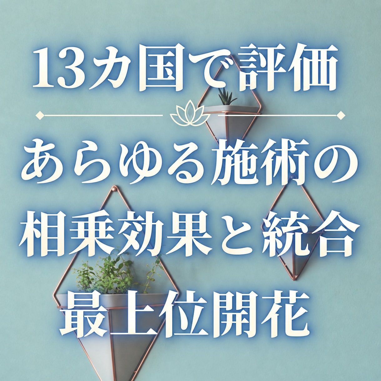 あらゆる施術の最適化、統合の最上位開花します 相乗効果や実感がしっかりと自動で向上する 世界13カ国で評価 イメージ1