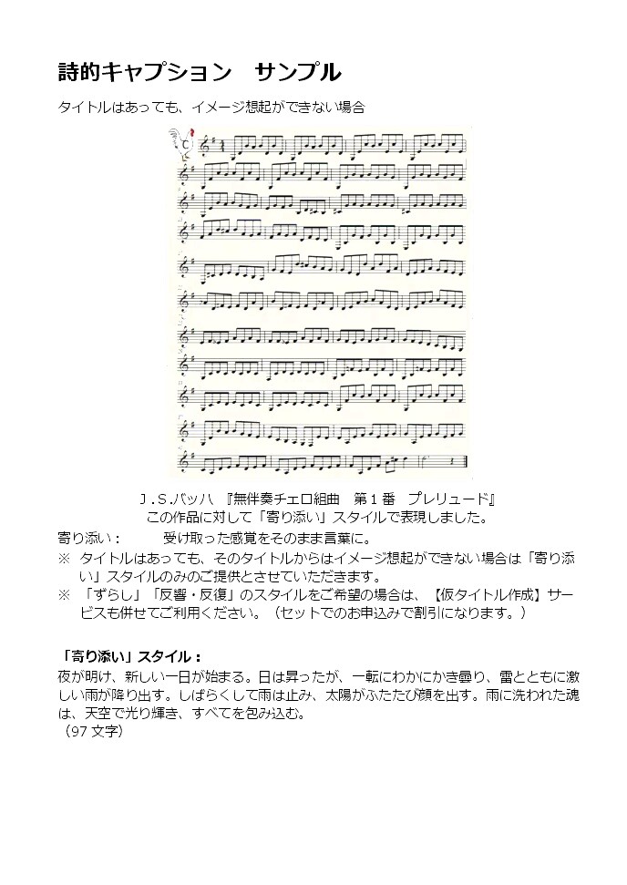 詩的キャプションもしくは紹介文を制作します 短詩的な凝縮美で、作品や空間に余白を添えるキャプション イメージ4
