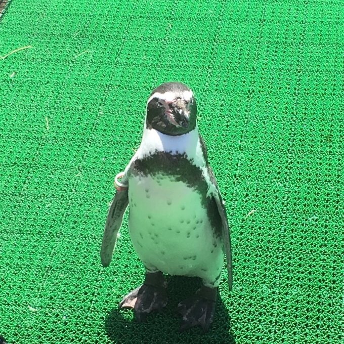 悩み相談や日常会話など色々受け付けてます ラインやメールと同じ感覚で楽しく話しましょう！！ イメージ1