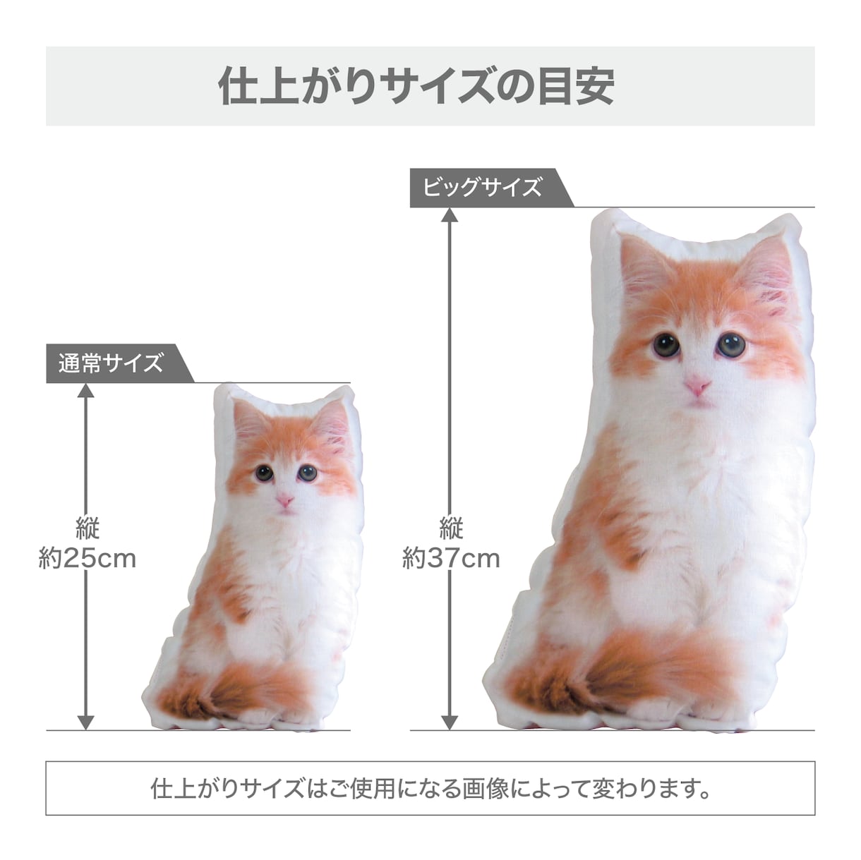 うちの子 クッション（ぬいぐるみ）をお作り致します 裏面のフワモコ生地が、まるでウチの子を撫でている様な感覚に。 イメージ7