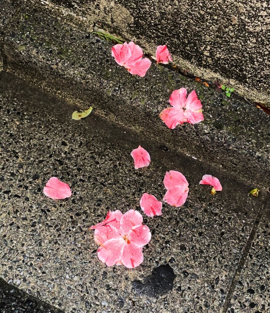 エモい写真売ります MVやCDジャケット用にいかがですか？ イメージ2