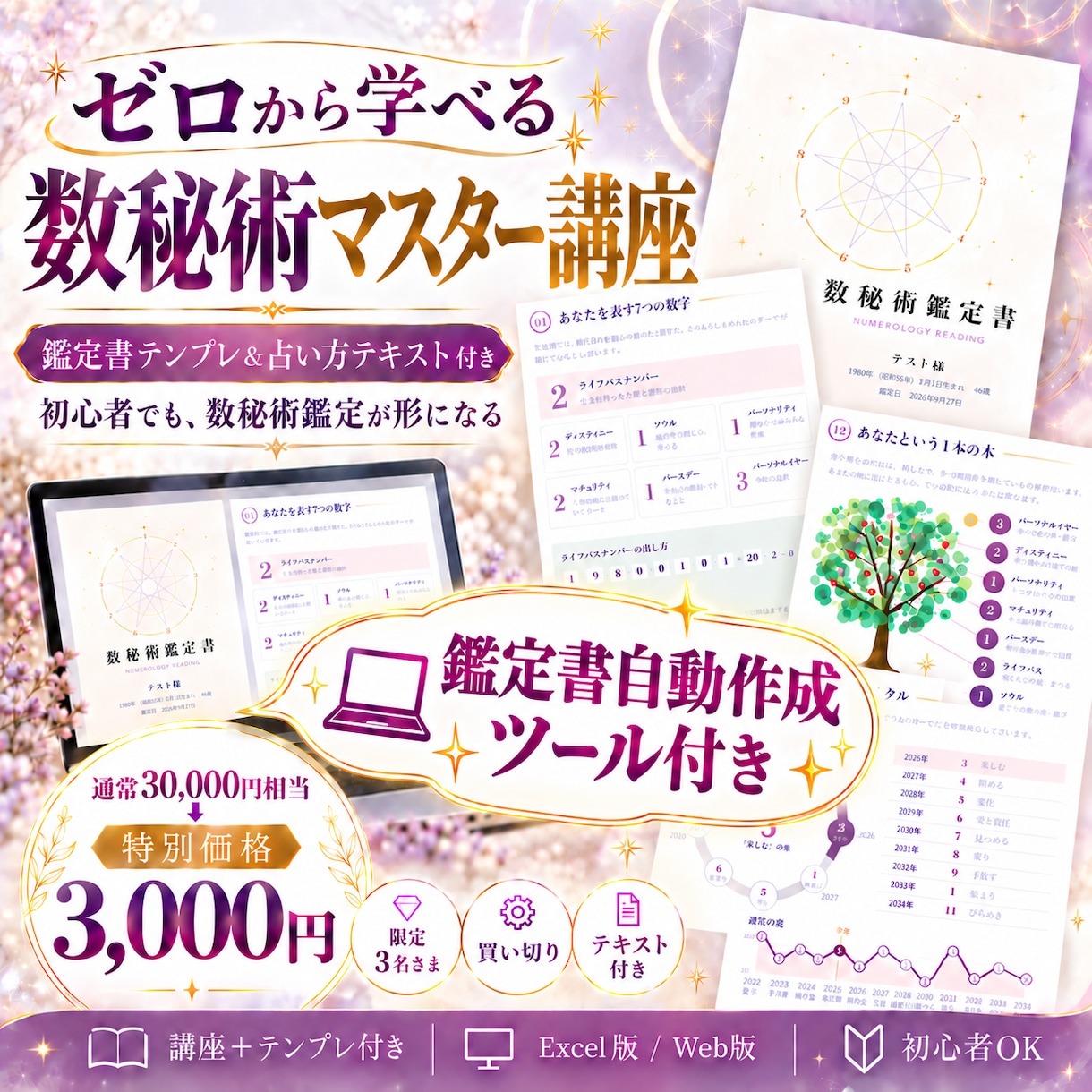 ゼロから数秘術完全マスター講座提供します 数秘術テキスト＋自動鑑定ツール付き イメージ1