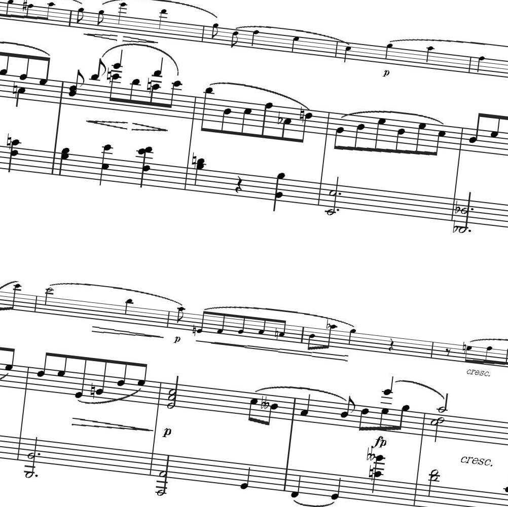高品質◆【演奏してみた！】のための楽譜を作ります あなた専用の楽譜で周りと差をつけませんか？ イメージ2