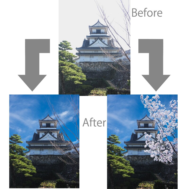 画像編集、消す、合成、その他依頼があれば受けます 合成/編集/ちょっとした加工なんでもご相談ください！ イメージ6