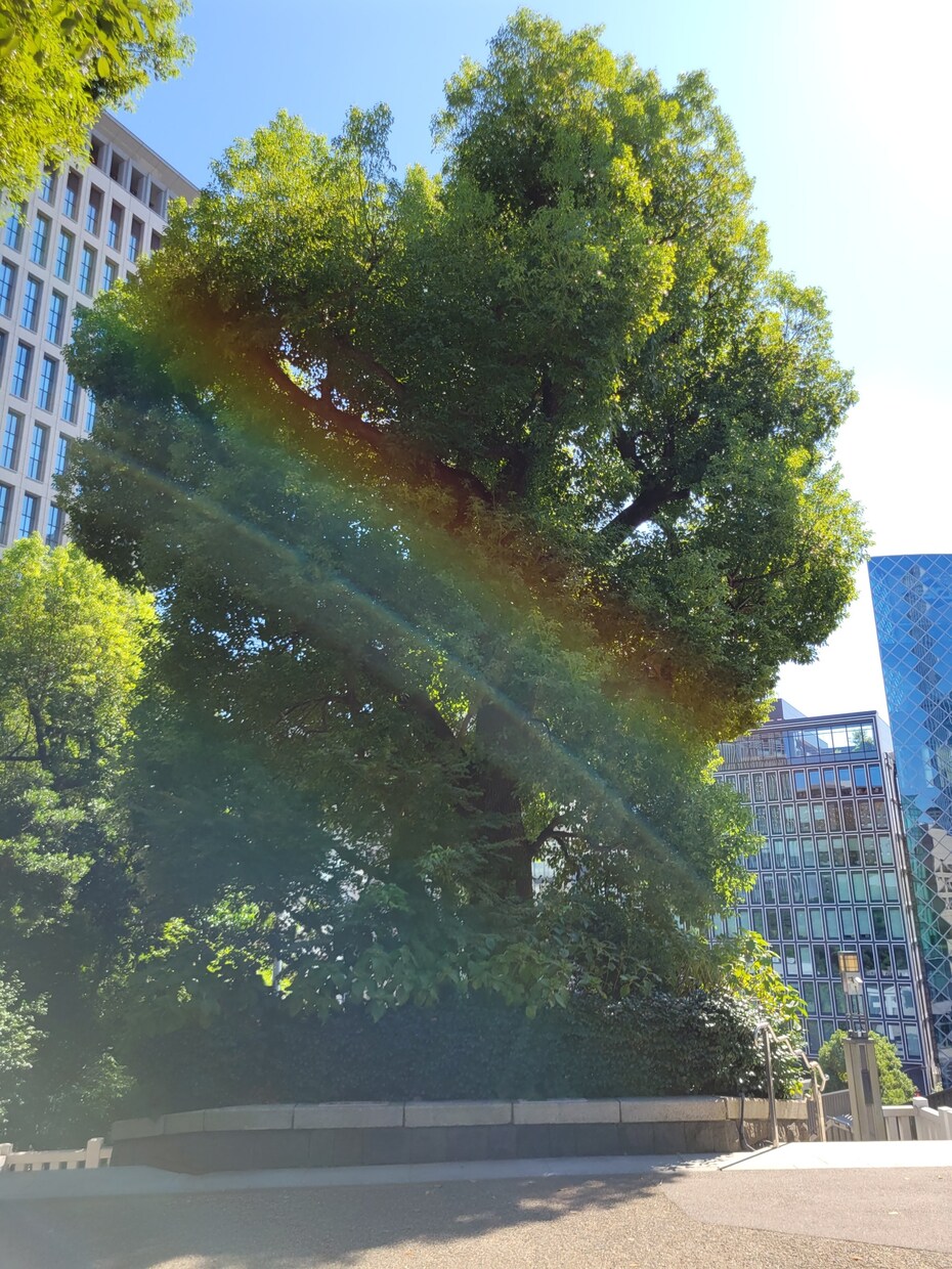 短時間⭕電話占い⭐️御巫が魂を霊視し悩み解決します 未来、相手の気持ち、複雑恋愛、仕事、人間関係、スピリチュアル イメージ10