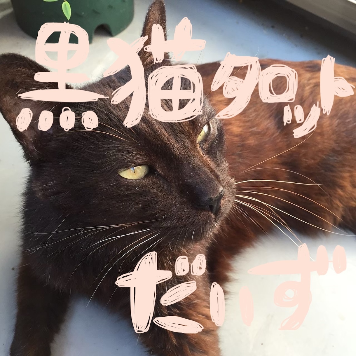 心が晴れるまでリーディングします あなたの人生、あなたの手で切り拓くお手伝いします！ イメージ1