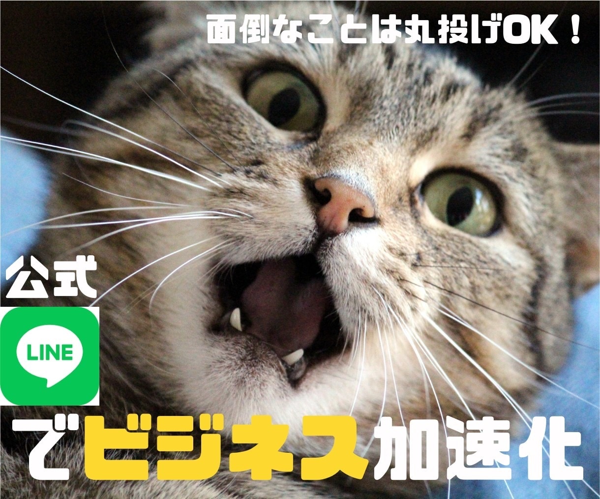 LINEの構築をお手伝いします 成功するビジネスの鍵は、LINE公式アカウントの活用にあり！ イメージ1